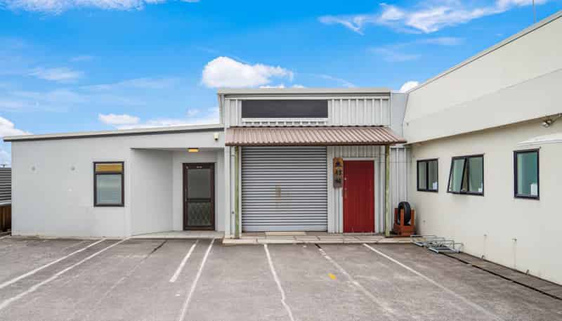 110D Saint Lukes Road, Mount Albert