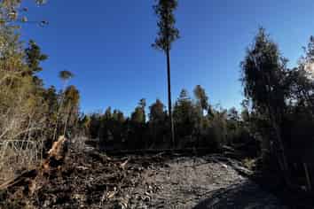 Lot 1, 199 Milltown Road, Kaniere