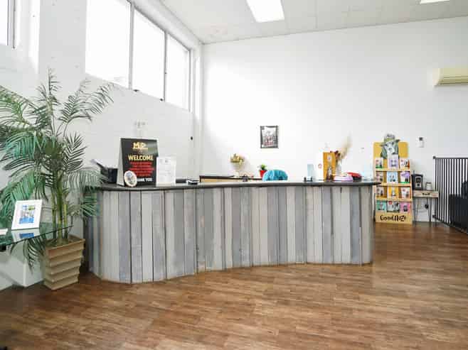 Paws-itive Investment, Barking Good Returns