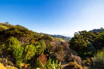 87 Biggsburn Way, Todds Valley