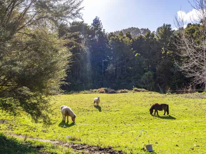 53 Paparoa Station Road, Paparoa