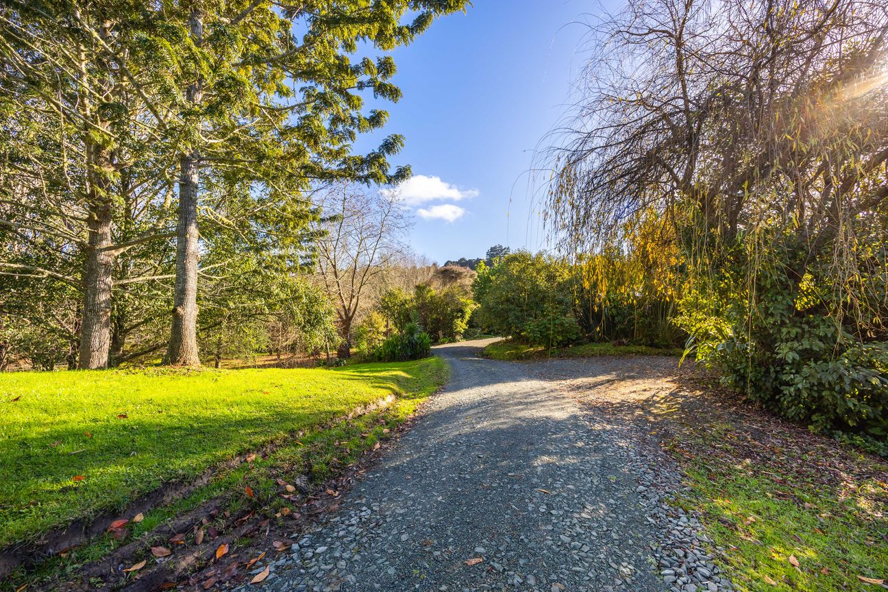 Private, Sheltered, Olive Trees - Widok 4
