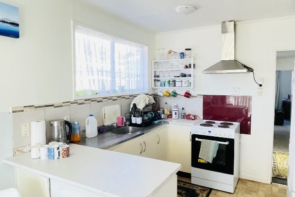 Newly Renovated 3 Bedroom Family Home - Vista 3