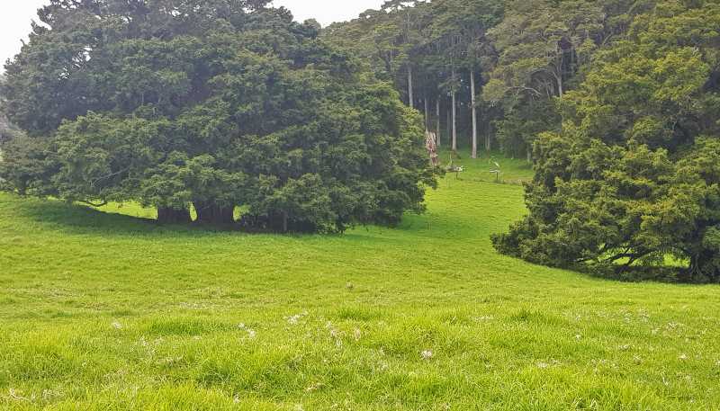 504 Wairere Road, Paparoa