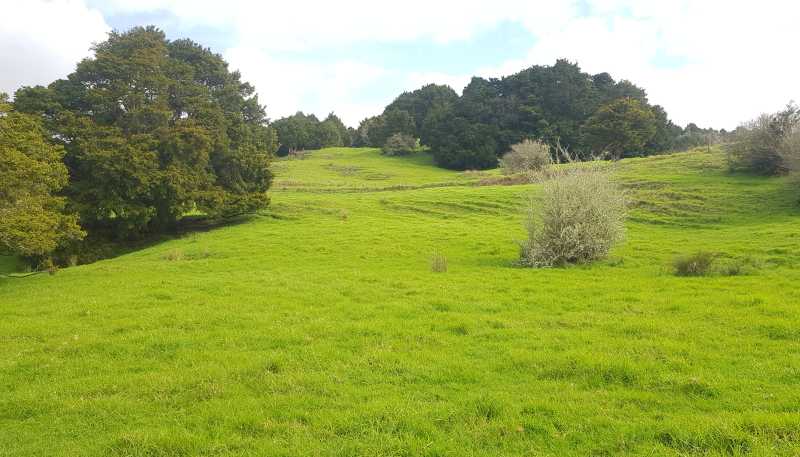 504 Wairere Road, Paparoa