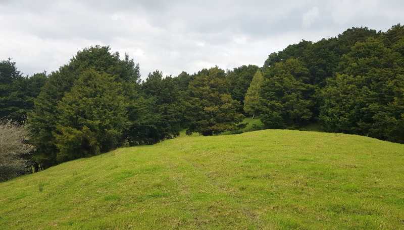 504 Wairere Road, Paparoa
