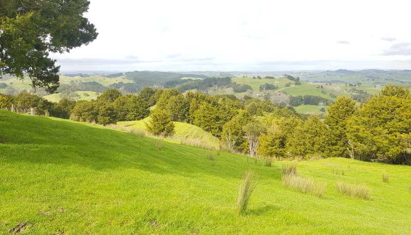 504 Wairere Road, Paparoa