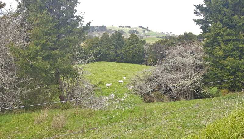 504 Wairere Road, Paparoa
