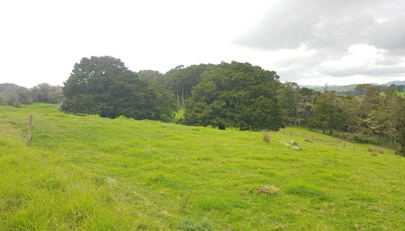 504 Wairere Road, Paparoa