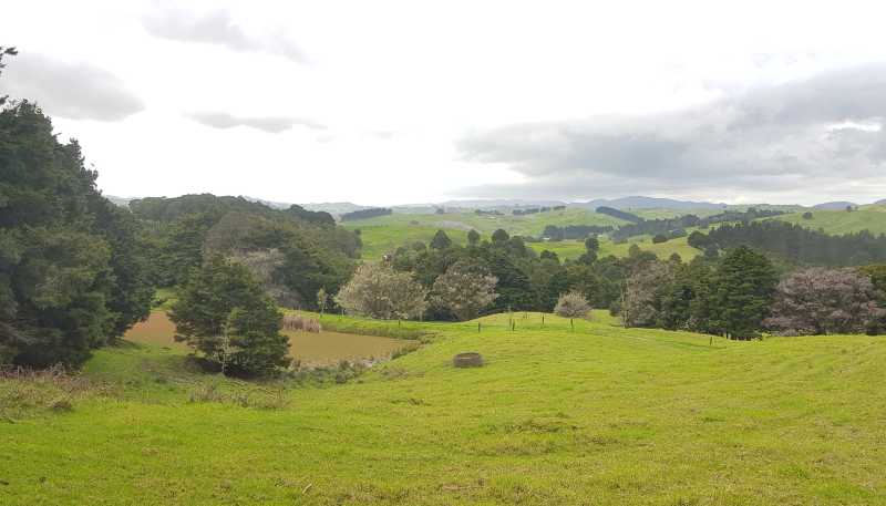 504 Wairere Road, Paparoa
