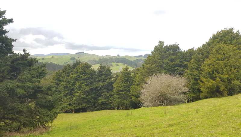 504 Wairere Road, Paparoa