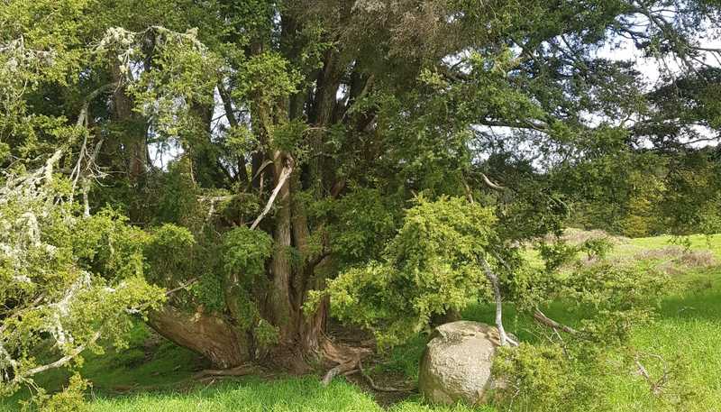 504 Wairere Road, Paparoa