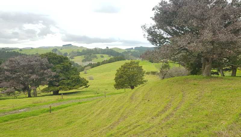 504 Wairere Road, Paparoa