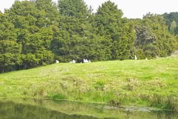 504 Wairere Road, Paparoa