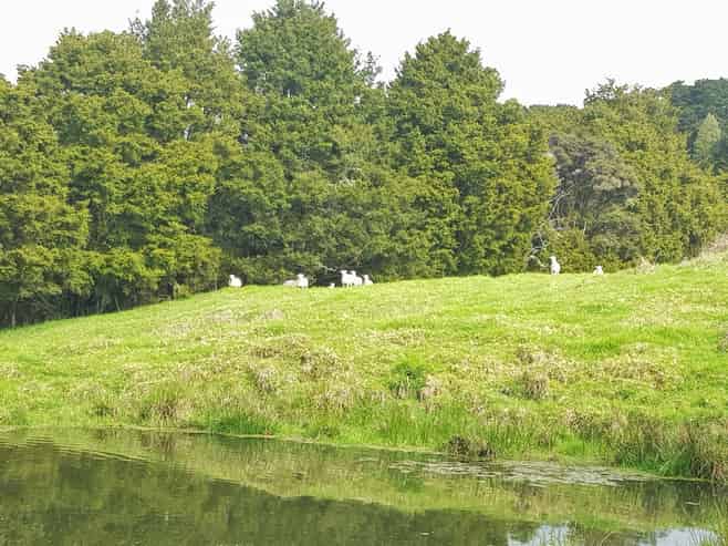 504 Wairere Road, Paparoa