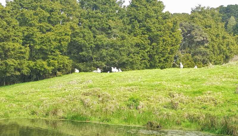 504 Wairere Road, Paparoa