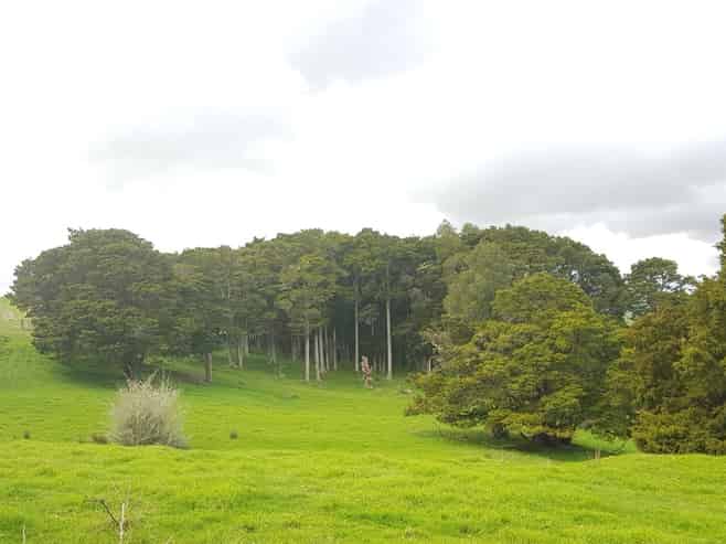 504 Wairere Road, Paparoa