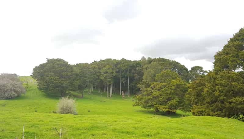 504 Wairere Road, Paparoa