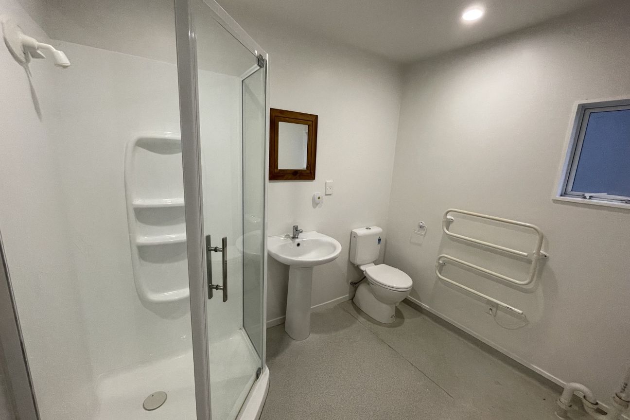 2 Bedroom plus large study  - Hataitai - Widok 3