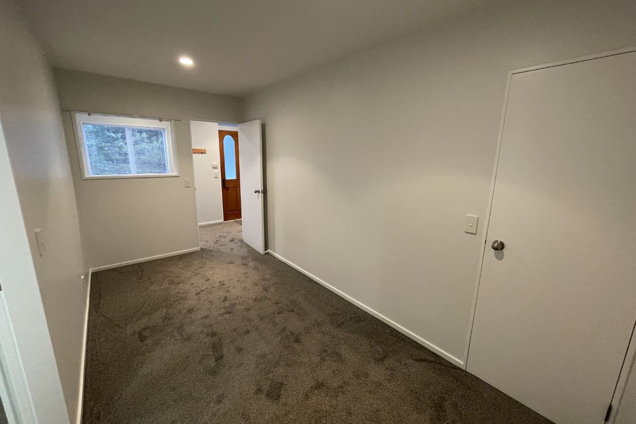 2 Bedroom plus large study  - Hataitai - Widok 5
