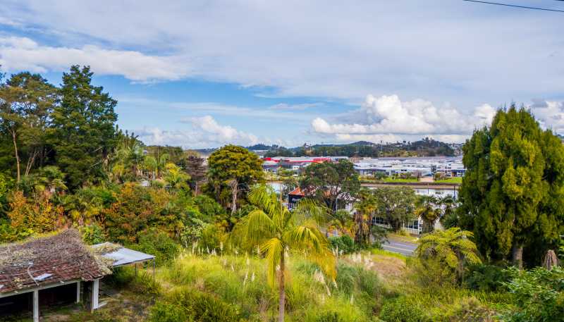  31 Riverside Drive and 4 Punga Grove Avenue, Riverside