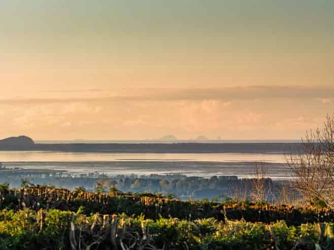 533 Wainui South Road, Whakamarama