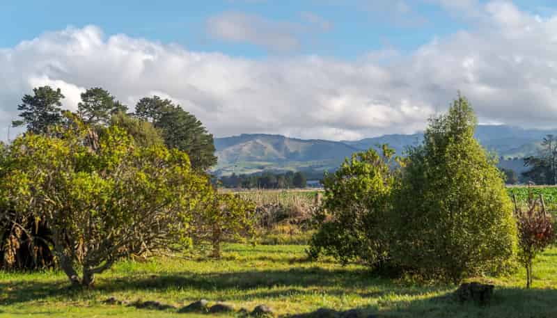 145B Norfolk Road, Carterton