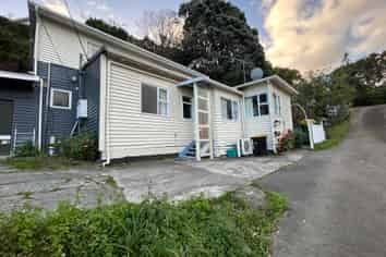 18 Hoggard St, Vogeltown