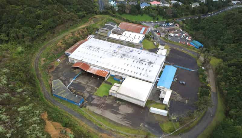 101 Collins Avenue, Tawa