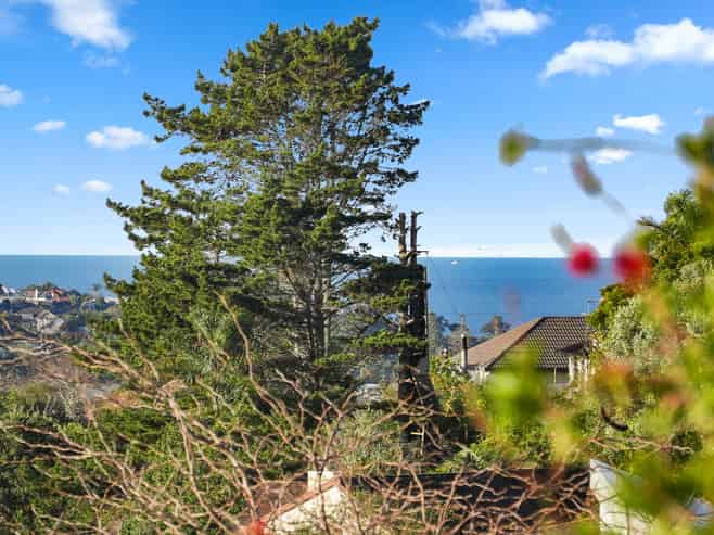 91 Langana Avenue, Browns Bay