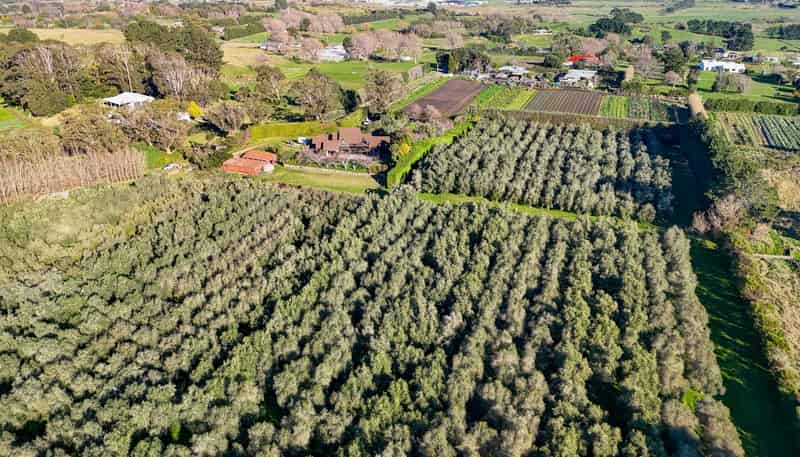 29 Westmere Road, Westmere