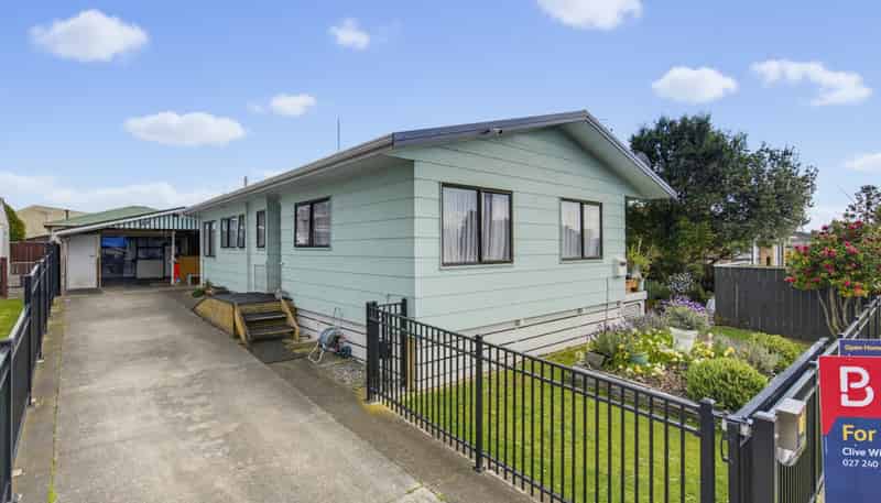 13 Douglas Street, Levin