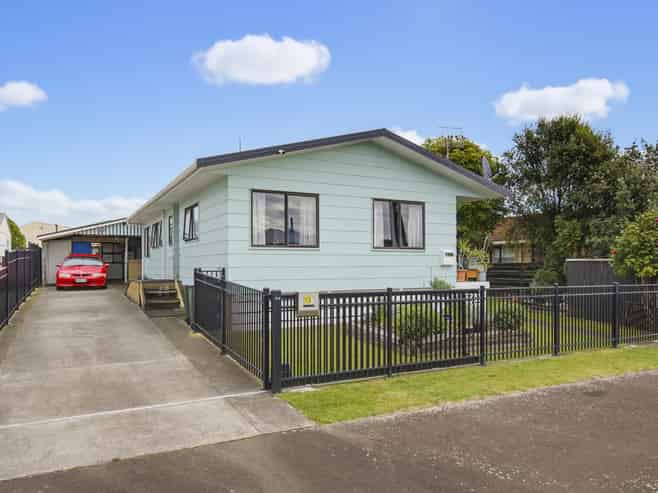 13 Douglas Street, Levin
