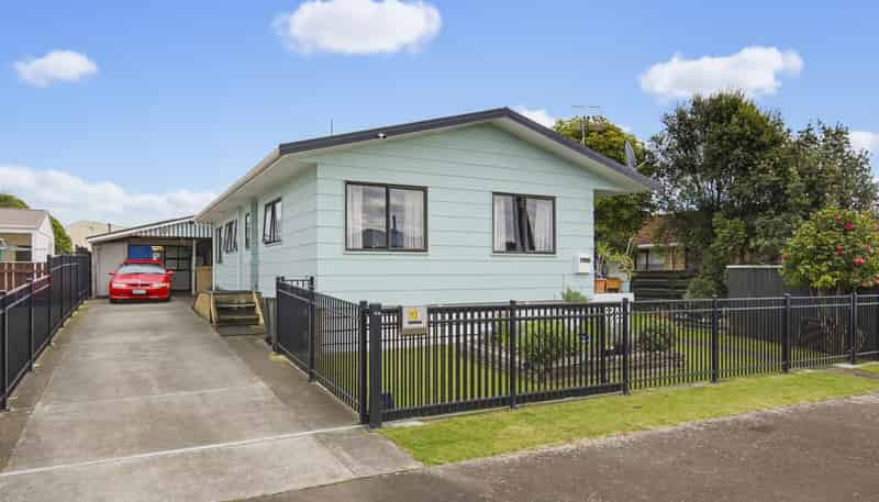 13 Douglas Street, Levin
