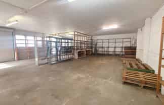 256sqm Penrose Warehouse with Roller Door