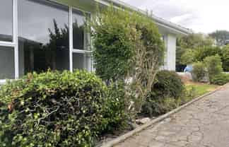 144 Terrace Street, Rosedale
