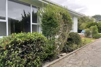 144 Terrace Street, Rosedale
