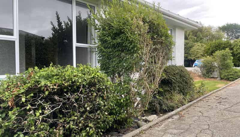 144 Terrace Street, Rosedale