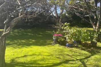 53 Anglesea Street, Hamilton Central