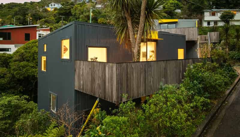 47 Mount Pleasant Road, Aro Valley
