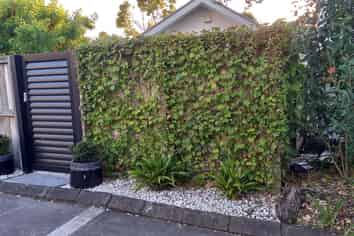 Auckland - Address withheld
