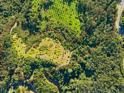 151B SH25 Tairua-Whitianga Hwy, Tairua