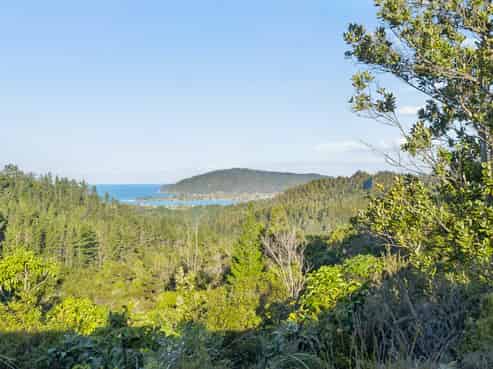 151B SH25 Tairua-Whitianga Hwy, Tairua