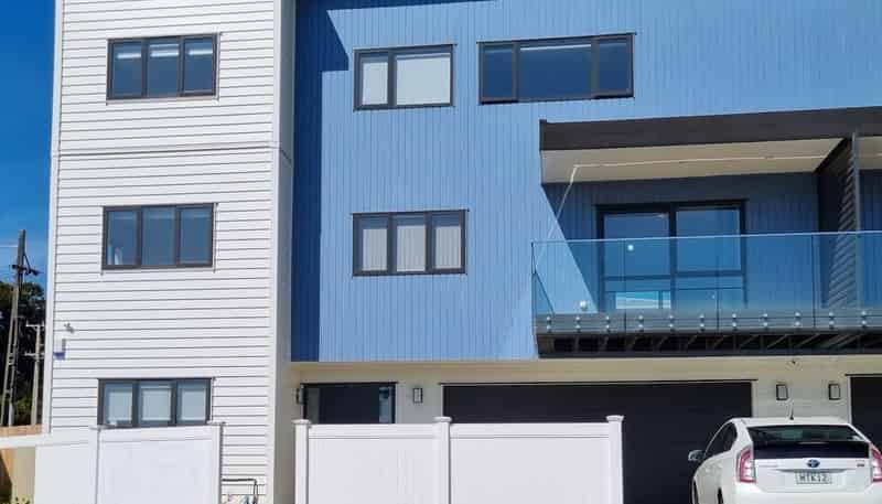 1/2 Marion Avenue, Mount Roskill