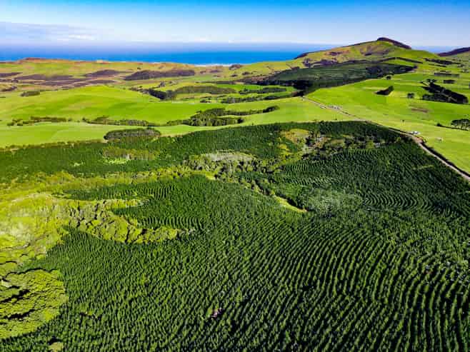  Monteith Road, Aranga