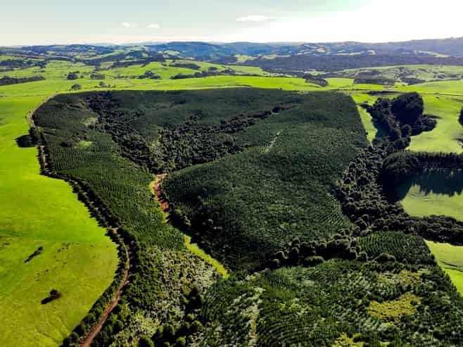  Monteith Road, Aranga