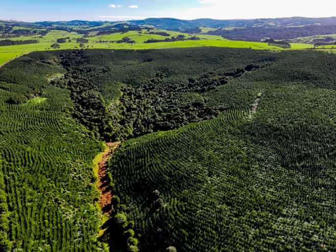  Monteith Road, Aranga