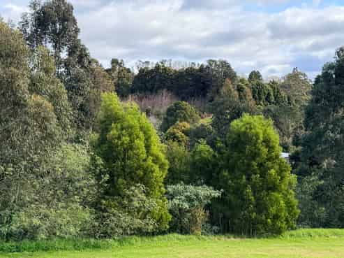 3 Highland Way, Kerikeri