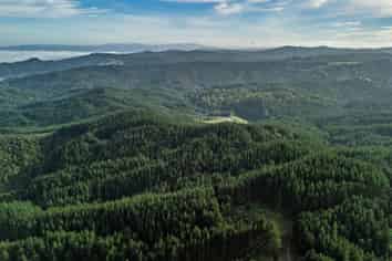  Motukiore Forest, Okaihau
