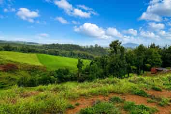 194E Pekanui Road, Pirongia